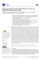 Expression Pattern of DAB Adaptor Protein 2 in Left- and Right-Side Colorectal Carcinoma