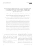 Endovascular Management of Intracranial Aneurysms on Distal Arterial Branches: Illustrative Case Series and Literature Retrospection