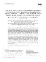 Surgical Management of a Penetrating Brain Wound and Associated Perforating Ocular Injury Caused by a Low-Velocity Sharp Metallic Object: A Case Report and Literature Review