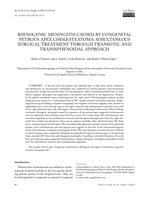 Rhinogenic Meningitis Caused by Congenital Petrous Apex Cholesteatoma: Simultaneous Surgical Treatment through Transotic and Transsphenoidal Approach